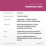 Традесканция Sillamontana (0,1л) — параметры сорта