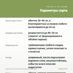 Традесканция Силламонтана Вариегатная (срез/2шт) — параметры сорта