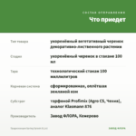 Традесканция Spring Splash (0,1л) — что приедет