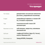 Традесканция Stripe in Pink (0,1л) — что приедет