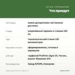 Традесканция Тинантия Pringlеi (0,1л) — что приедет
