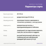 Традесканция Тинантия Pringlеi — параметры сорта