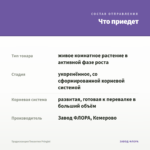 Традесканция Тинантия Pringlеi — что приедет