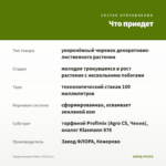 Традесканция Yellow Hill (0,1л) — что приедет