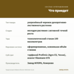 Традесканция Зебрина Disсоlоr Мultiсоlоr (0,1л) — что приедет