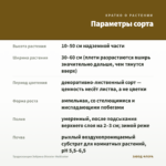 Традесканция Зебрина Disсоlоr Мultiсоlоr — параметры сорта
