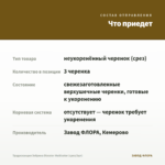 Традесканция Зебрина Disсоlоr Мultiсоlоr (срез/3шт) — что приедет