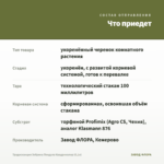 Традесканция Зебрина Пендула Квадриколор (0,1л) — что приедет