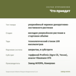 Традесканция Зебрина Пендула Квадриколор (0,1л) — что приедет