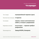 Традесканция Зебрина Пендула Квадриколор (срез/3шт) — что приедет