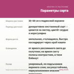 Традесканция Zebrina Рendula (0,1л) — параметры сорта