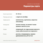 Вербена Blues Mango Pink (срезы/5шт) — параметры сорта