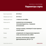Вербена Blues Red (0,1л) — параметры сорта