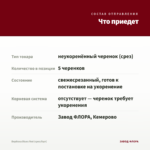 Вербена Blues Red (срез/5шт) — что приедет