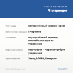 Вербена Drums Blue (срезы 5 шт) — что приедет