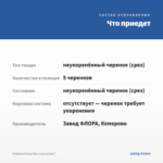 Вербена Drums Blue (срезы/5шт) — что приедет