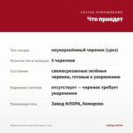 Вербена Drums Purple Red (срезы 5 шт) — что приедет