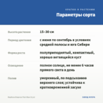 Вербена Empress Flair Blue (0,1л) — параметры сорта