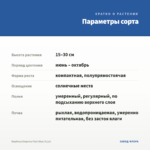 Вербена Empress Flair Blue (0,1л) — параметры сорта