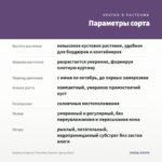 Вербена Empress Flair Blue Charme (срезы/5шт) — параметры сорта
