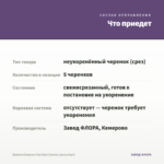 Вербена Empress Flair Blue Charme (срезы/5шт) — что приедет
