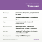 Вербена Empress Flair Lavender Blue (0,1л) — что приедет