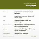 Вербена Empress Flair Peach (0,1л) — что приедет