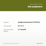Вербена Empress Flair Peach (срезы/5шт) — как укоренить черенок
