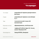 Вербена Empress Flair Red (0,1л) — что приедет