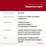 Вербена Empress Flair Red (срезы/5шт) — параметры сорта