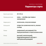 Вербена Empress Flair Red (срезы/5шт) — параметры сорта