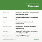 Вербена Empress Flair Red Star (0,1л) — что приедет