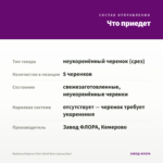 Вербена Empress Flair Violet Blue (срезы/5шт) — что приедет