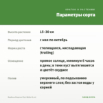 Вербена Empress Flair White (0,1л) — параметры сорта