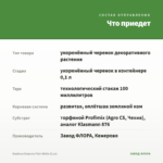 Вербена Empress Flair White (0,1л) — что приедет