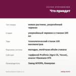 Вербена Empress Purple (0,1л) — что приедет