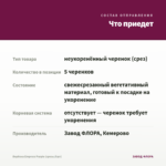 Вербена Empress Purple (срезы/5шт) — что приедет