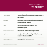 Вербена Empress Sun Cherry (0,1л) — что приедет