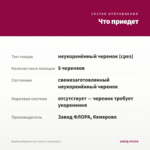 Вербена Empress Sun Cherry (срезы/5шт) — что приедет
