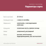 Вербена Empress Sun Pink (0,1л) — параметры сорта