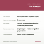 Вербена Empress Sun Pink (срезы/5шт) — что приедет