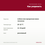 Вербена Empress Sun Red (срезы 5 шт) — как укоренить черенок