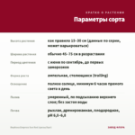 Вербена Empress Sun Red (срезы/5шт) — параметры сорта