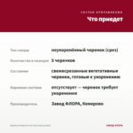 Вербена Empress Sun Red (срезы/5шт) — что приедет
