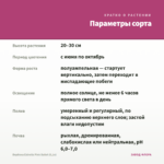 Вербена Estrella Pink Ballet (0,1л) — параметры сорта