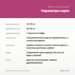 Вербена Estrella Pink Ballet (срезы/5шт) — параметры сорта