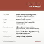 Вербена Estrella Salmon Star (0,1л) — что приедет