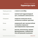 Вербена Estrella Salmon Star (срезы/5 шт) — параметры сорта