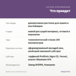 Вербена Lanai Lavender Star (0,1л) — что приедет