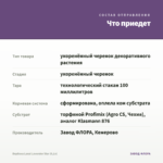 Вербена Lanai Lavender Star (0,1л) — что приедет